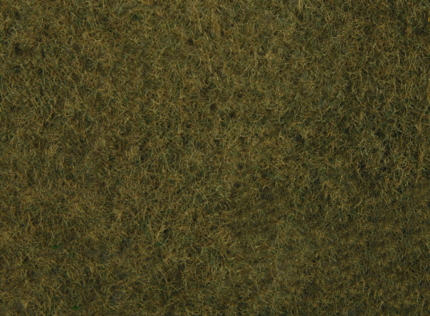 Darń na siateczce zieleń oliwkowa NOCH 07282 (1)